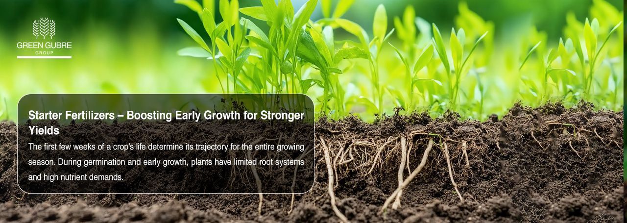 Starter Fertilizers – Boosting Early Growth for Stronger Yields