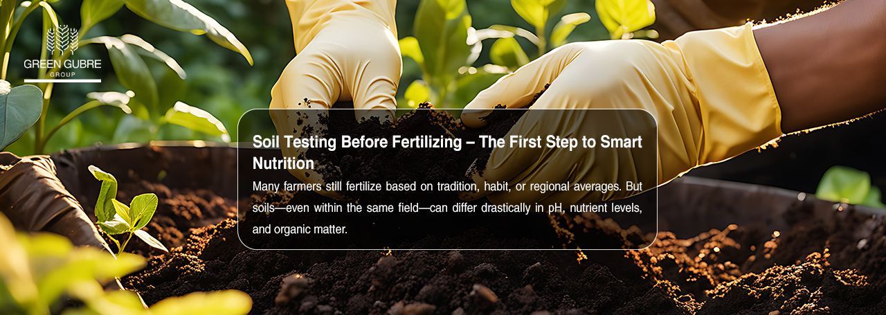 Soil Testing Before Fertilizing – The First Step to Smart Nutrition