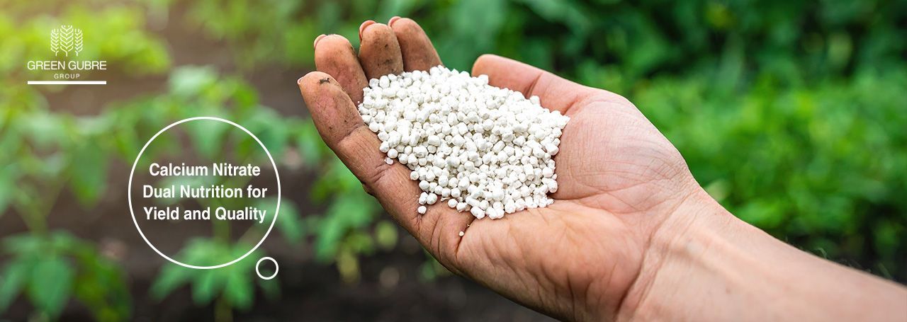 Calcium Nitrate – Dual Nutrition for Yield and Quality