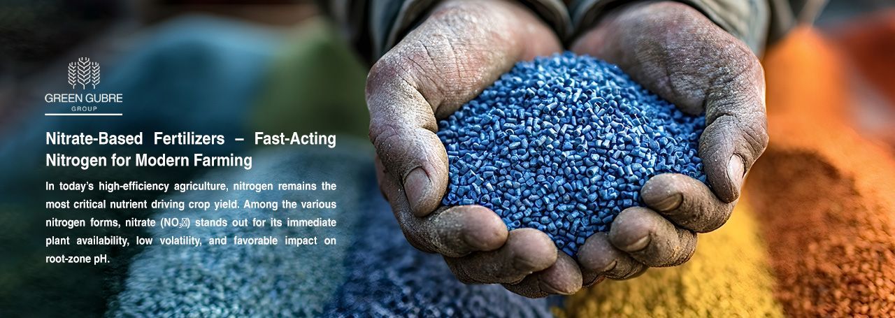 Nitrate-Based Fertilizers – Fast-Acting Nitrogen for Modern Farming