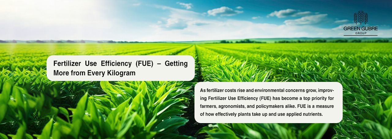 Climate-Smart Fertilizers – Adapting Agriculture for a Changing Planet