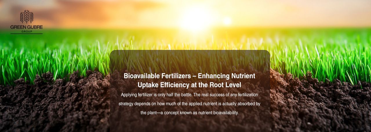 Bioavailable Fertilizers – Enhancing Nutrient Uptake Efficiency at the Root Level