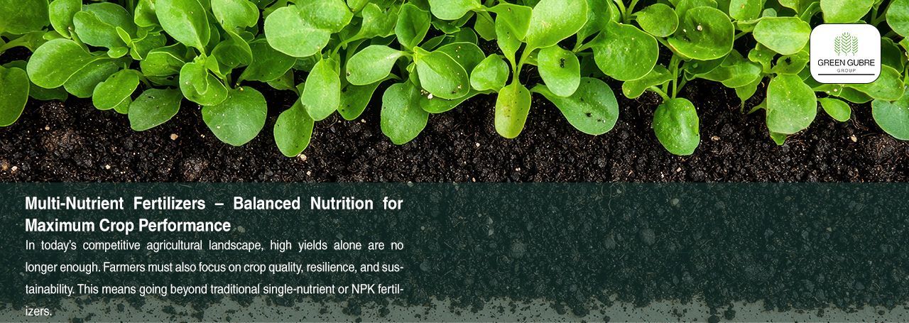 Multi-Nutrient Fertilizers – Balanced Nutrition for Maximum Crop Performance