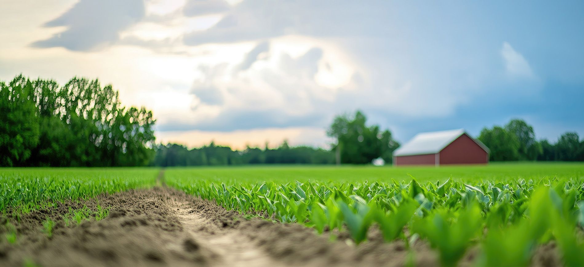 Urea fertilizer is being shipped in bulk from a port terminal for international distribution.