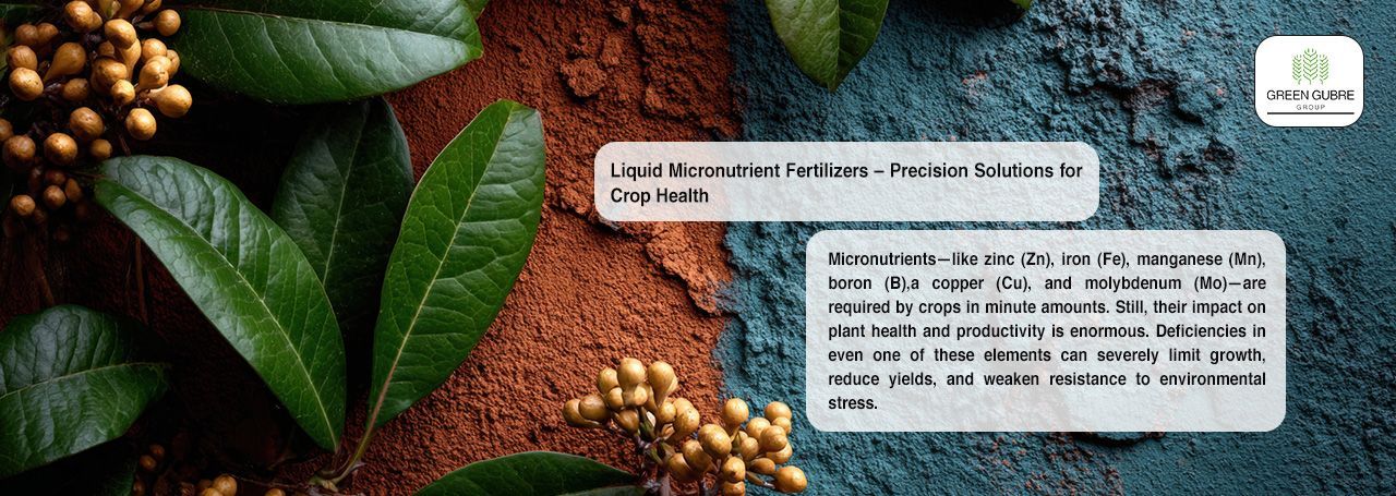 Micronutrients—like zinc (Zn), iron (Fe), manganese (Mn), boron (B), copper (Cu), and molybdenum (Mo)—are required by crops in minute amounts.