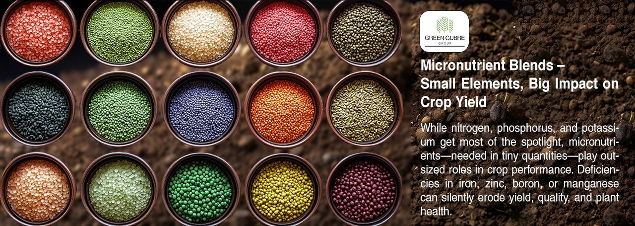 Micronutrient Blends – Small Elements, Big Impact on Crop Yield