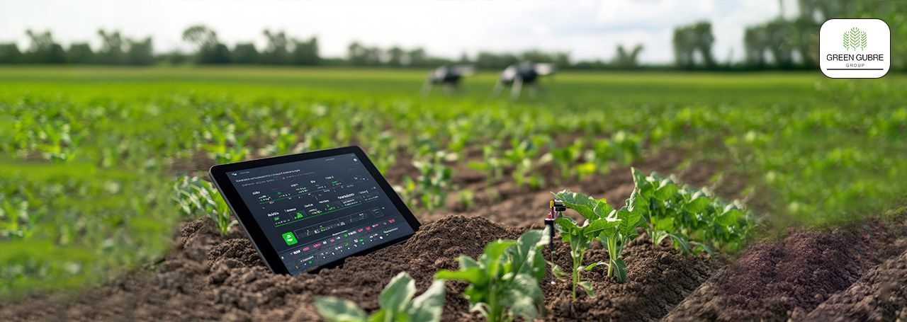 AI in Fertilizer Management – The Future of Precision Agriculture
