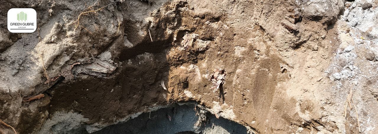 Fertilizer Impurities – Hidden Risks to Crop Health and Soil Quality