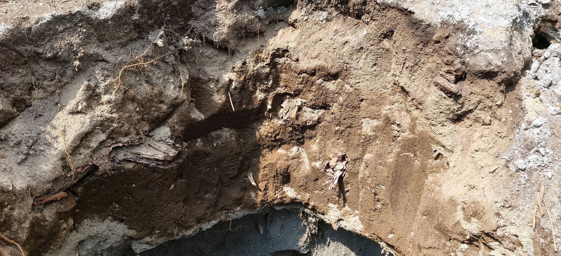 High-purity fertilizer granules with COA showing low contaminant levels.