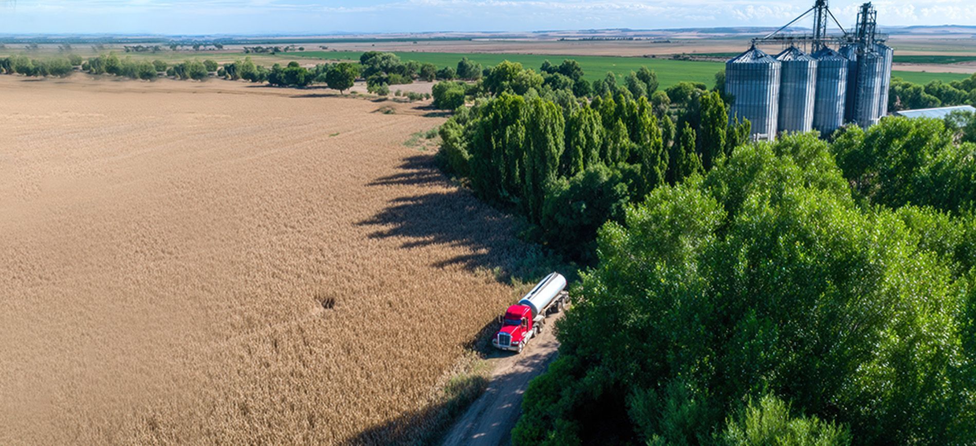 Smart fertilizer label with QR code and compliance icons for traceability and global export standard