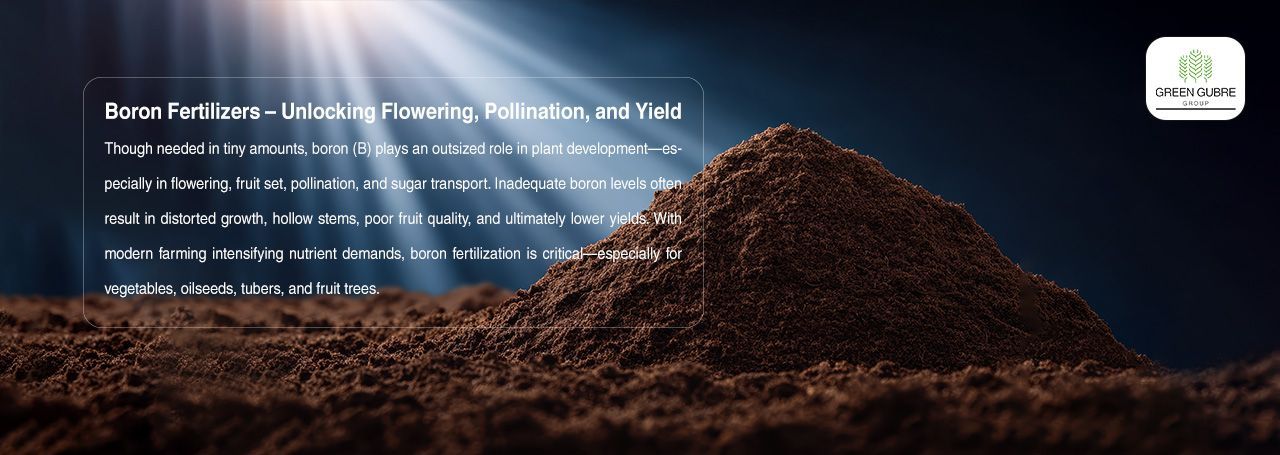 Boron Fertilizers – Unlocking Flowering, Pollination, and Yield