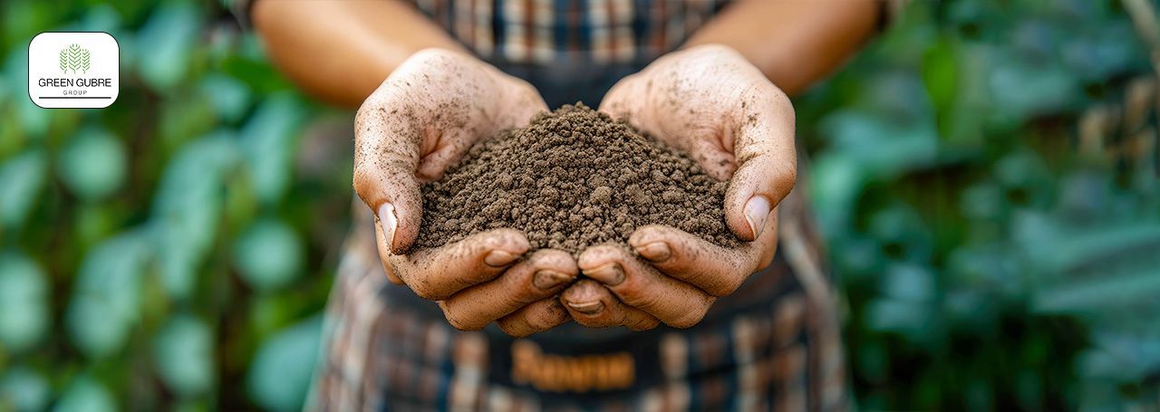 Soil pH and Fertilizer Efficiency – The Hidden Link Shaping Crop Nutrition