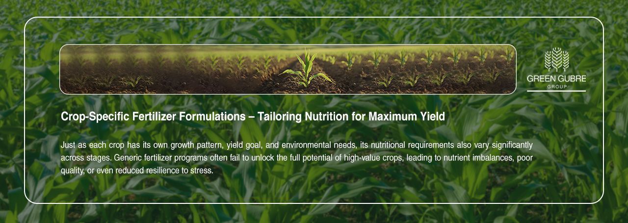 Crop-Specific Fertilizer Formulations – Tailoring Nutrition for Maximum Yield
