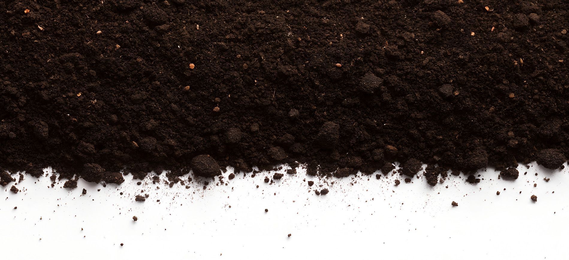 Farmer applying fertilizer to boost soil organic matter and long-term soil health