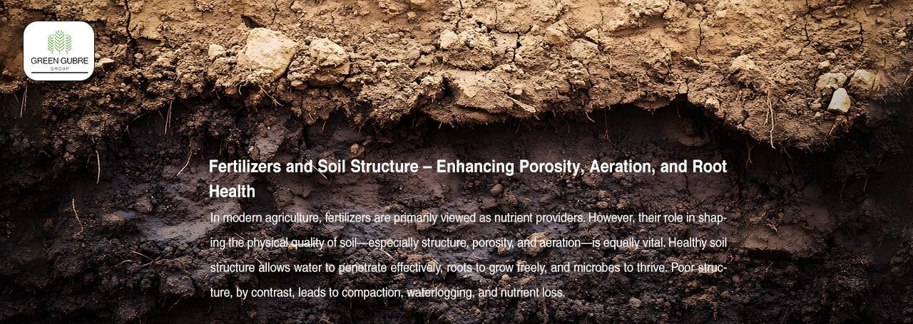Fertilizers and Soil Structure – Enhancing Porosity, Aeration, and Root Health