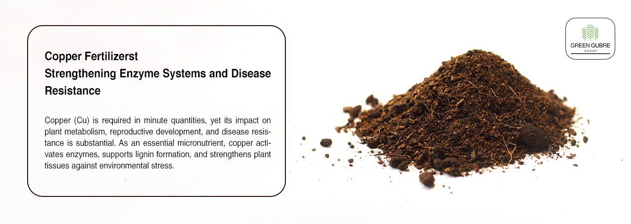 Copper Fertilizers – Strengthening Enzyme Systems and Disease Resistance