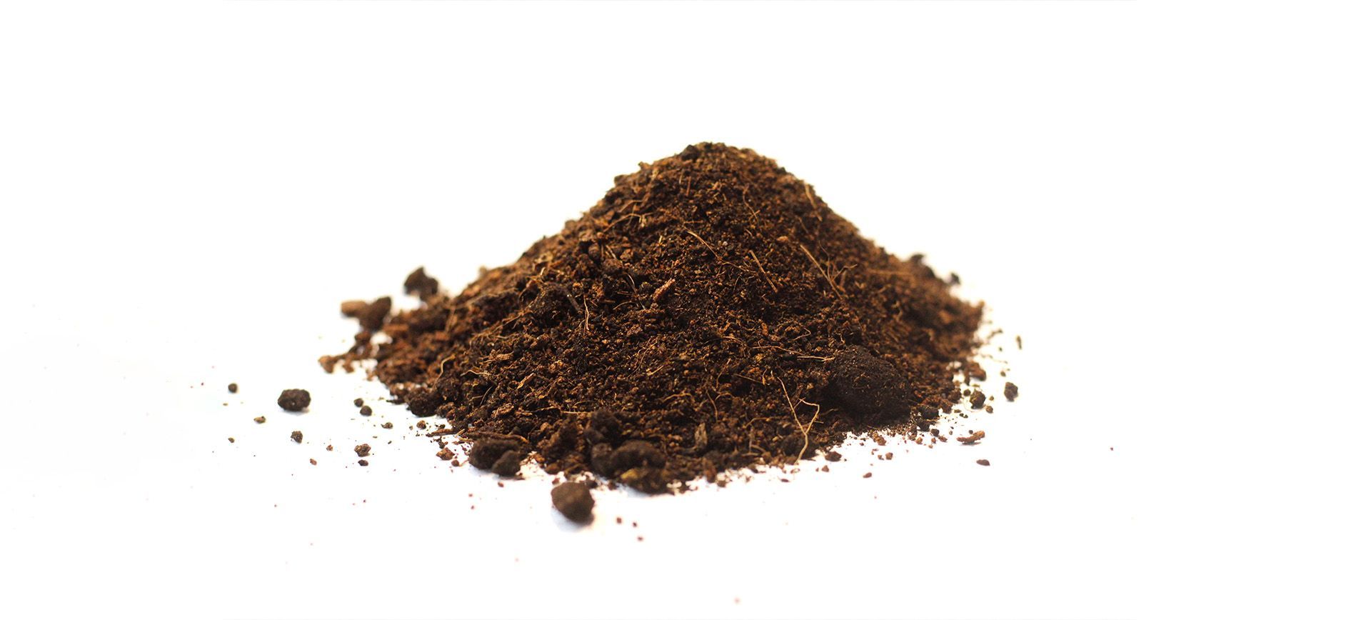 Copper fertilizer applied to cereal crop to improve disease resistance and plant strength