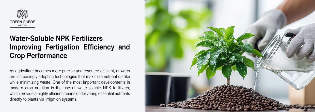 Water-Soluble NPK Fertilizers – Improving Fertigation Efficiency and Crop Performance
