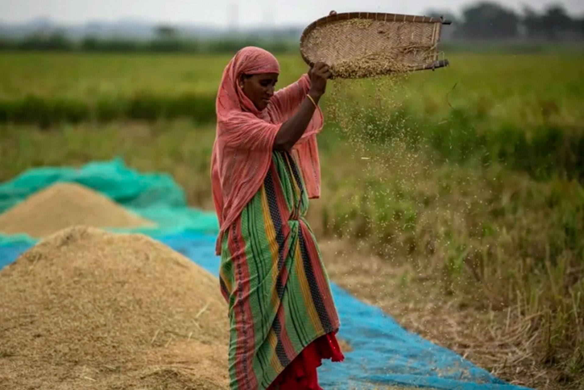 Unlocking India’s Growth Potential with Green Gubre Group’s Industrial Solutions