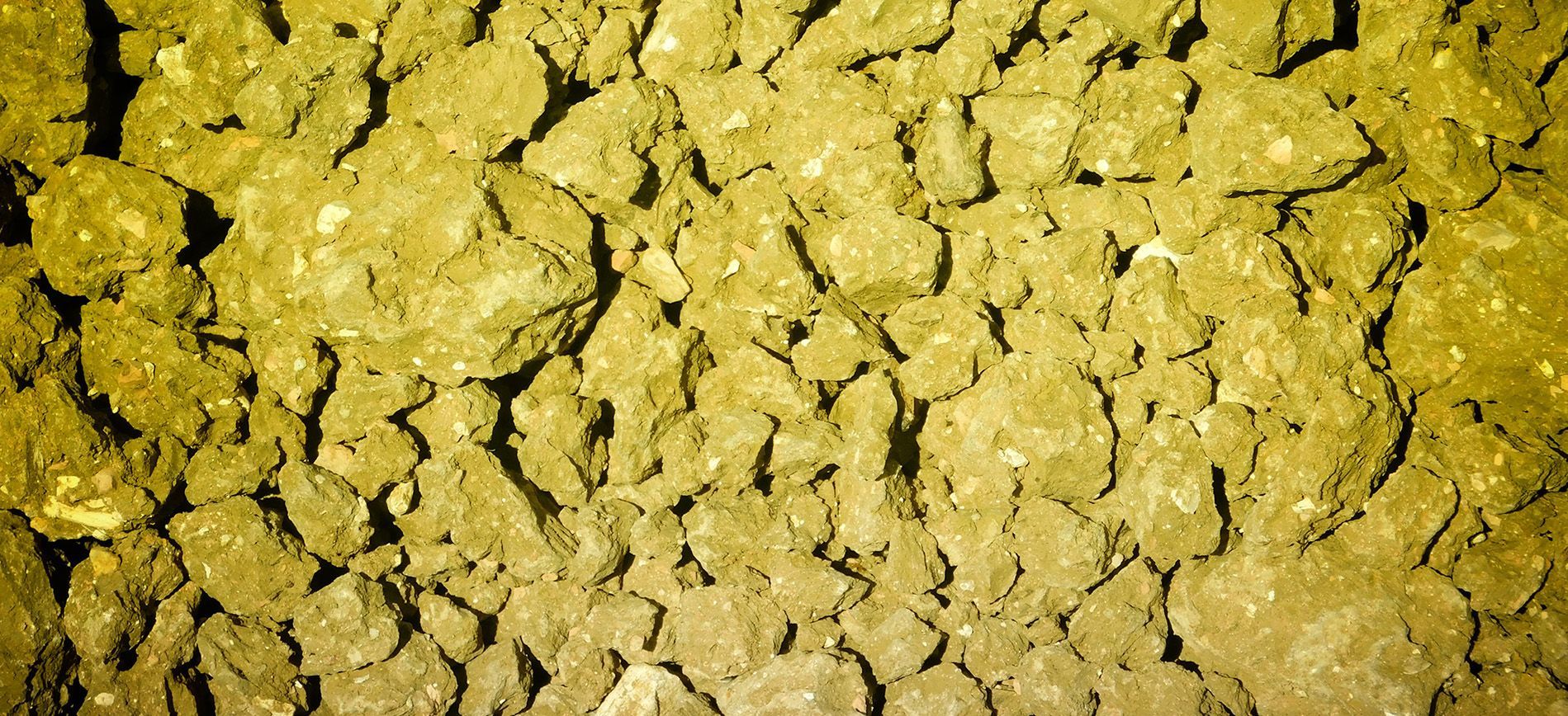 Sulfur-coated urea granules provide controlled nitrogen release and sulfur nutrition for crop growth