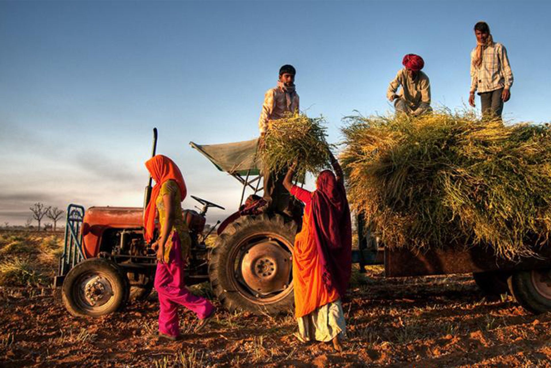 Empowering India’s Agricultural and Industrial Sectors with High-Quality Products and Solutions