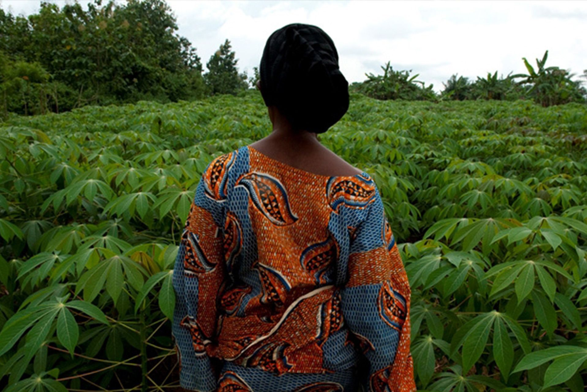 Expanding Agricultural Efficiency and Industrial Development in Africa