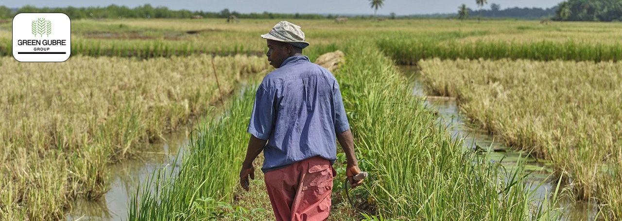 Crop Diversification: Building Resilience in African and Indian Agriculture