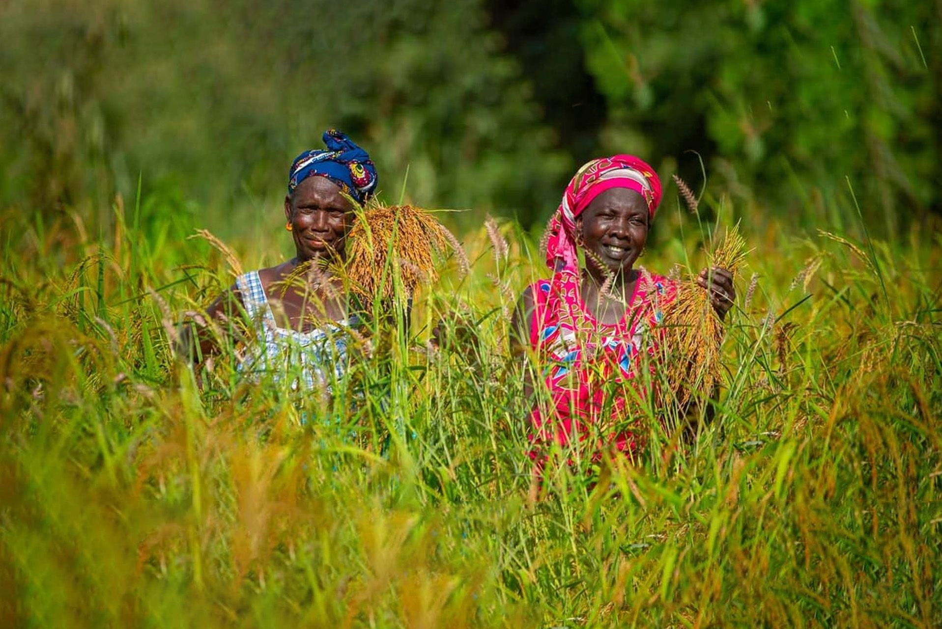 Leveraging Togo as a Strategic Hub for Green Gubre Group’s Expansion Across Africa