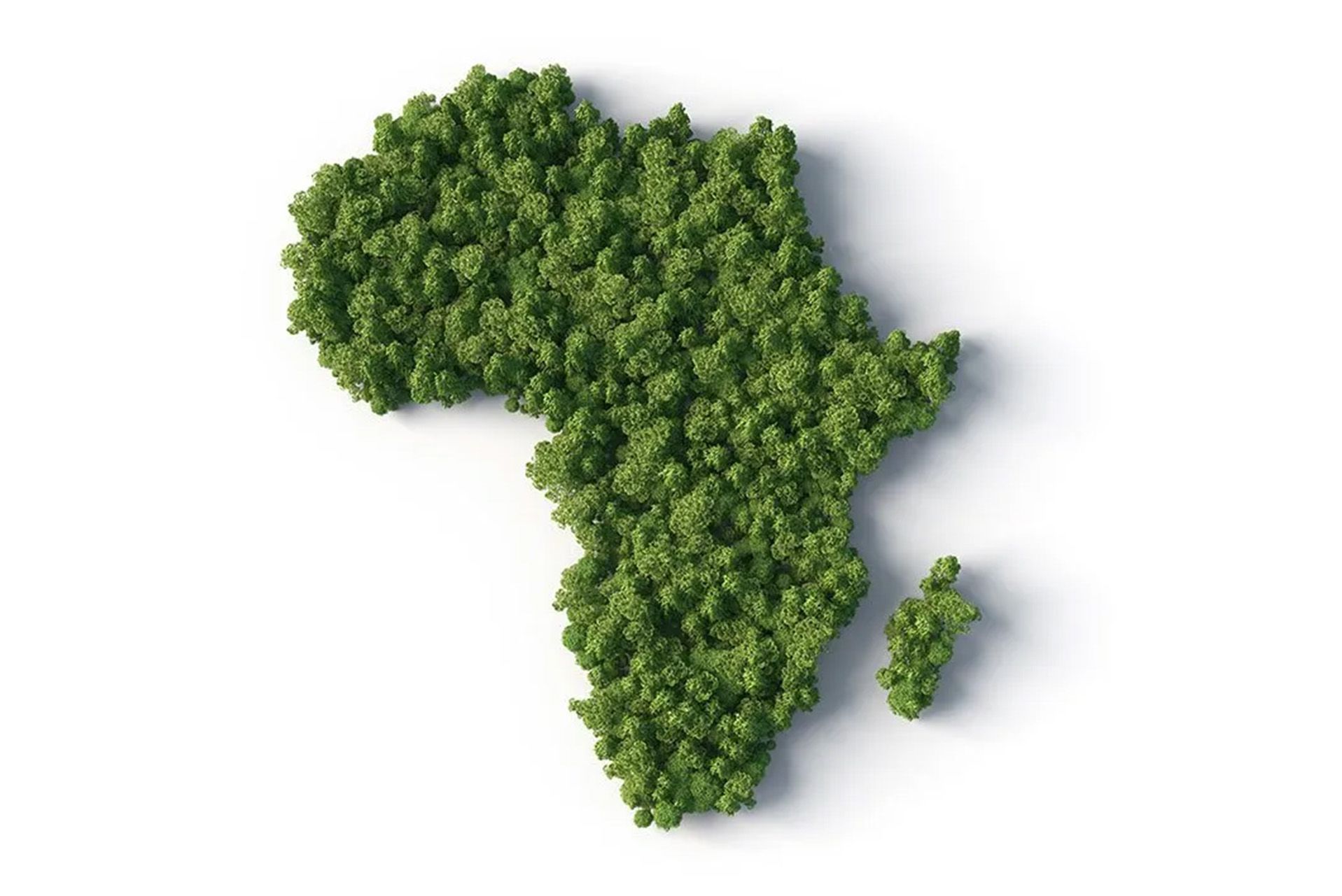 Leveraging Strategic Partnerships and Sustainability to Expand in Africa