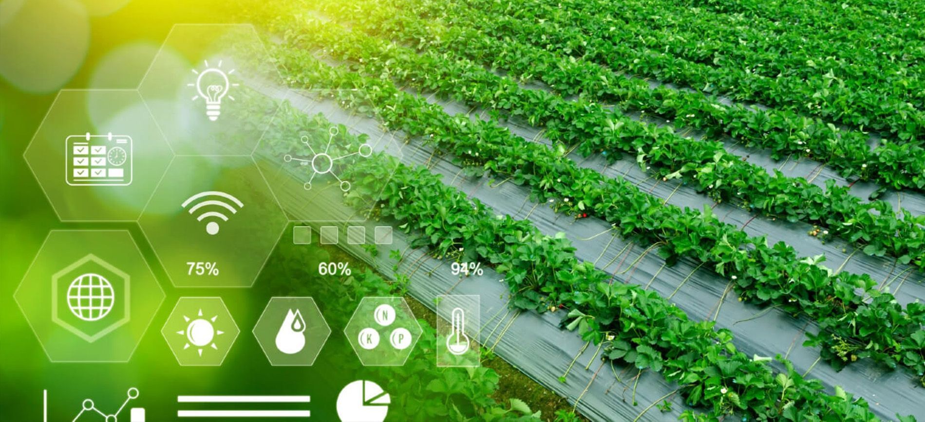  Fertilizer Innovations for Climate-Smart Agriculture | Green Gubre Group
