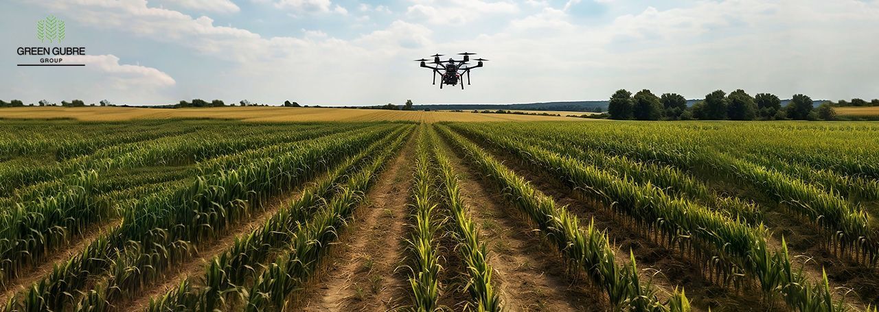 Exploring the Role of Fertilizers in Precision Agriculture