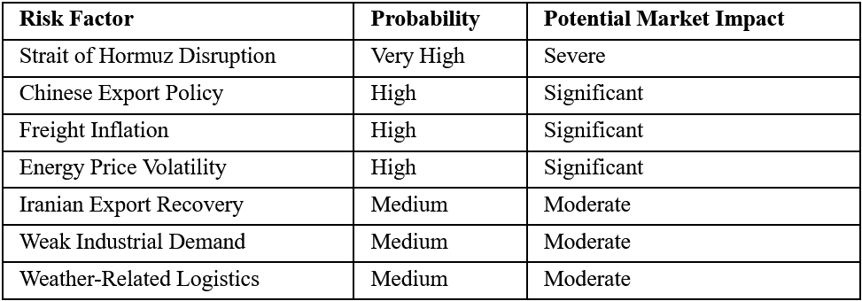 Executive Risk Matrix