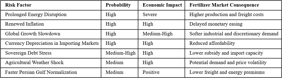 Global Economic Risk Matrix