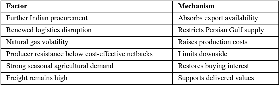 Bullish Factors