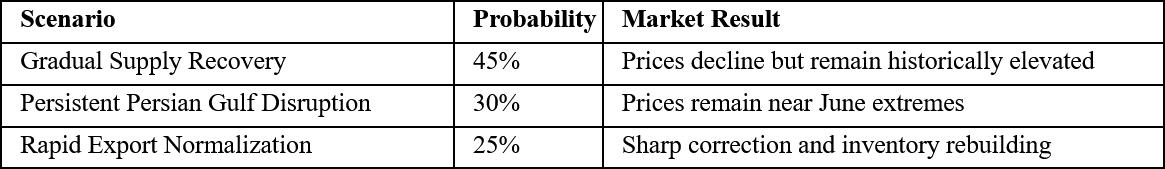 Scenario Analysis