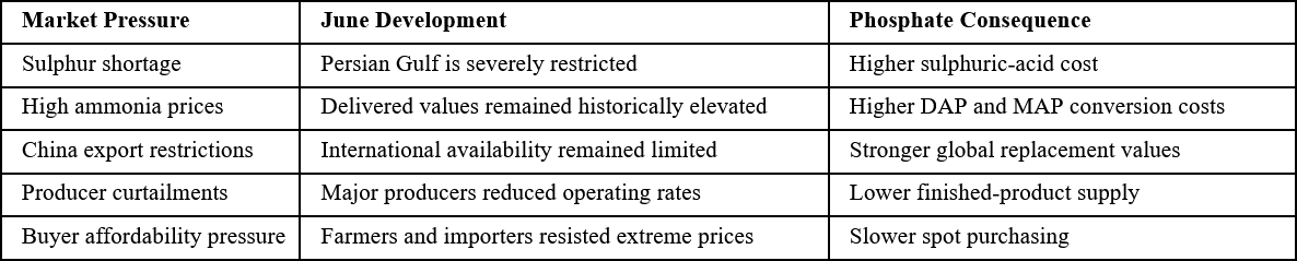 June Market Structure