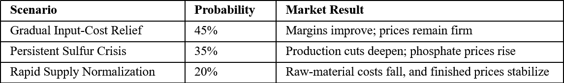 Scenario Analysis