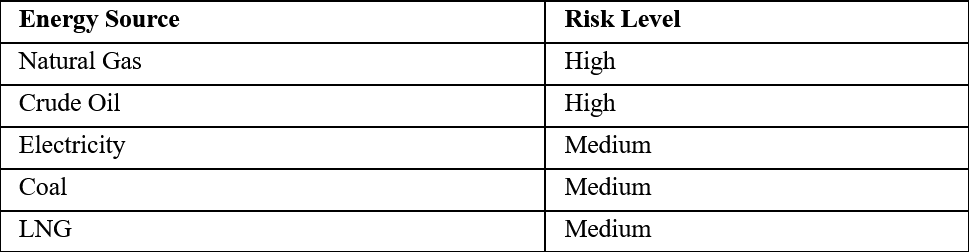 Energy Risk Assessment