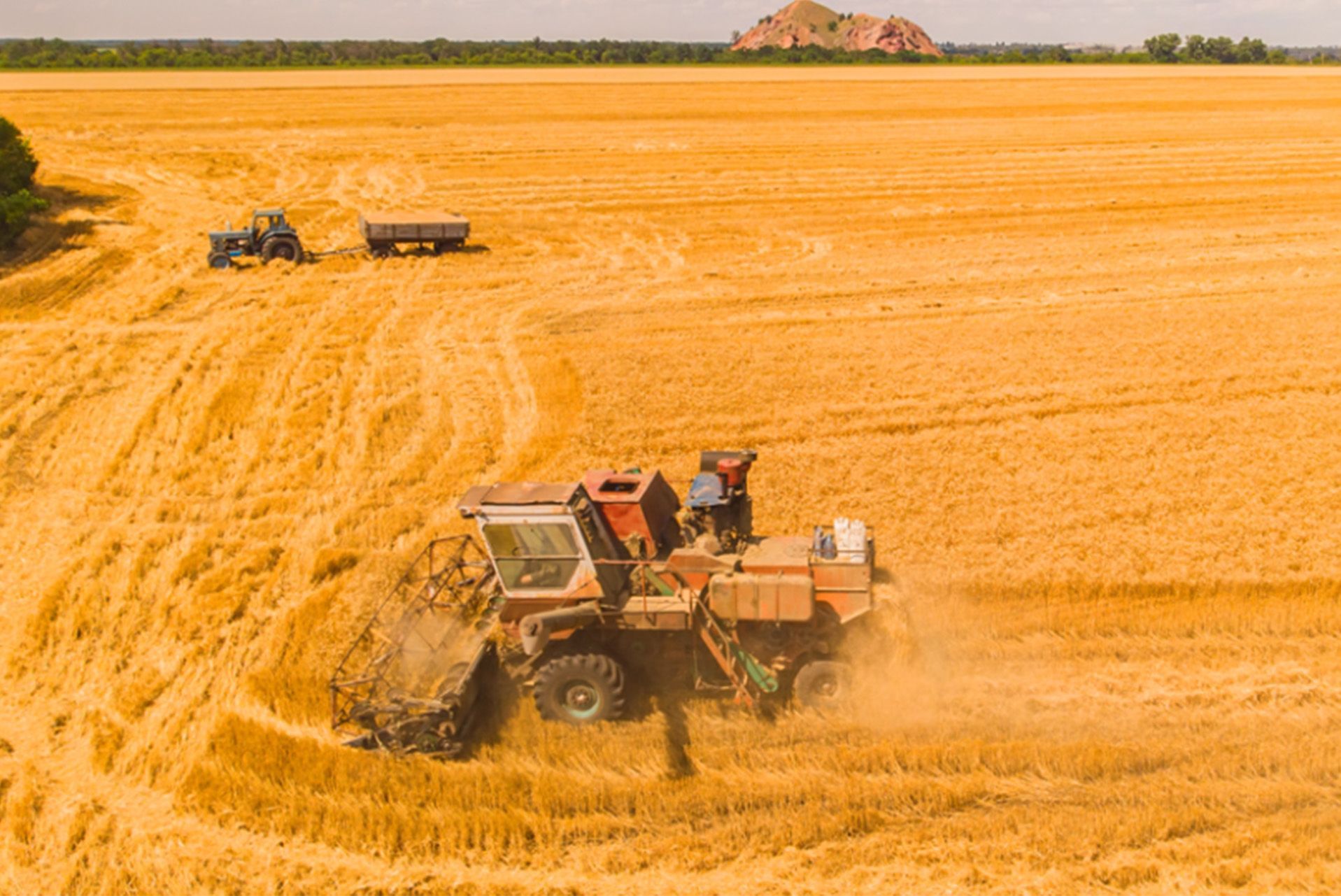 Strengthening Turkey’s Industrial and Agricultural Sectors with Green Gubre Group’s High-Quality Products