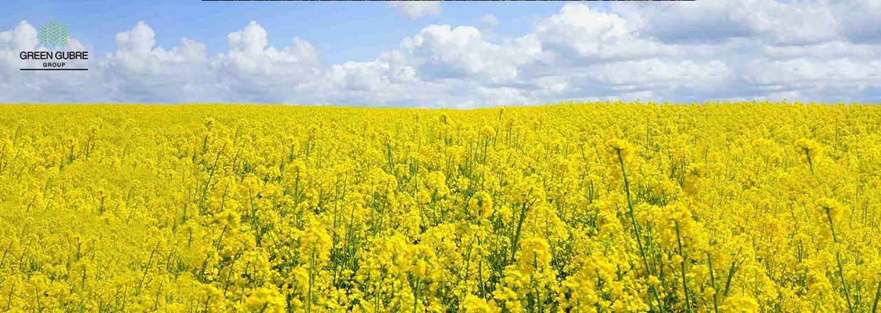 The Role of Sulfur in Agriculture and Industry