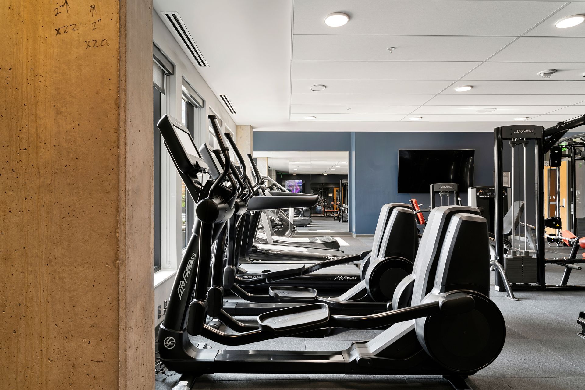 Gym with elliptical machines, a TV, and weight machines.