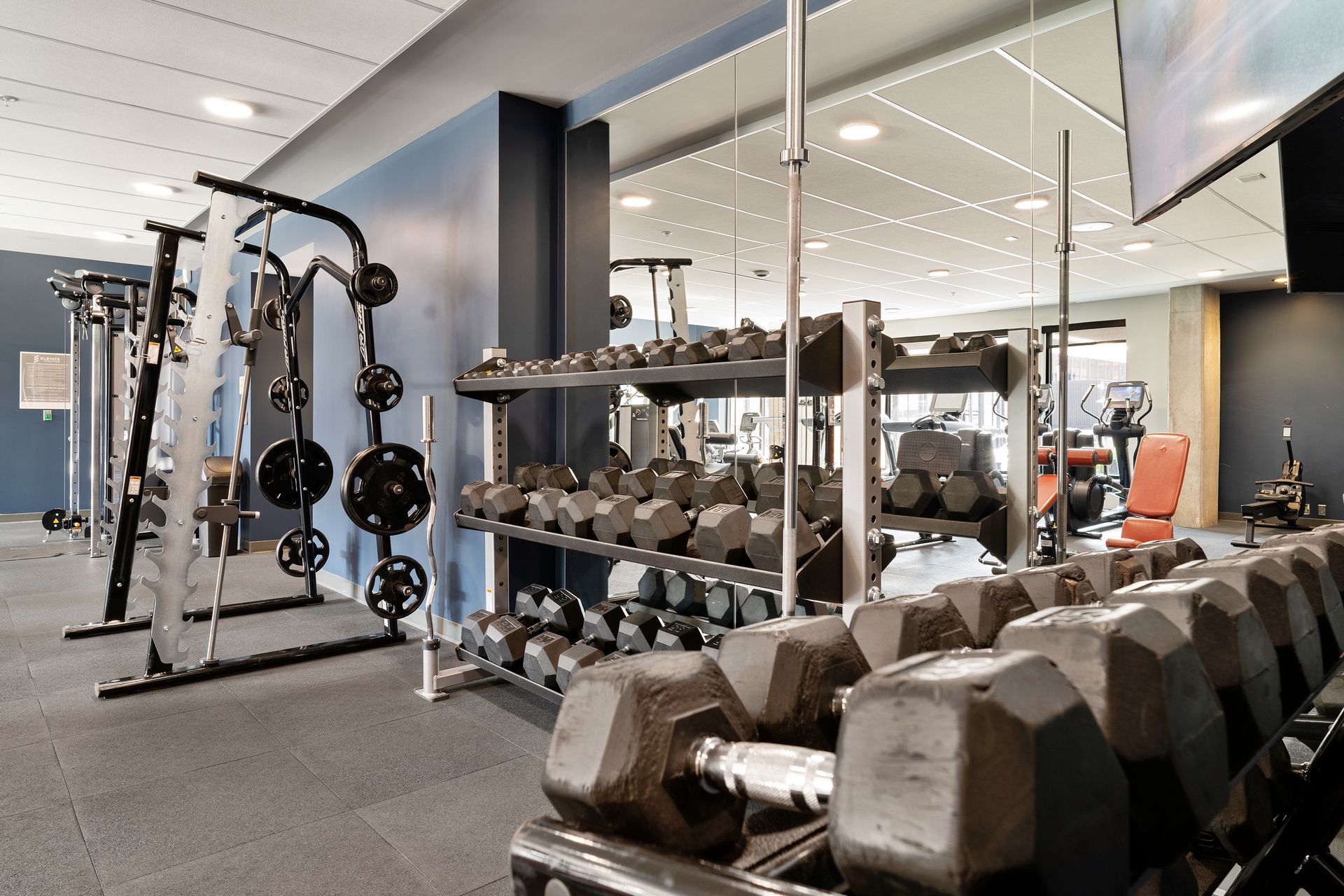 Gym interior with weights, benches, and exercise equipment.