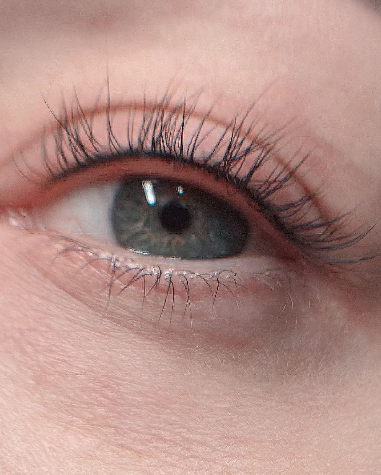 Close-up of a blue eye with long eyelashes, looking towards the right.