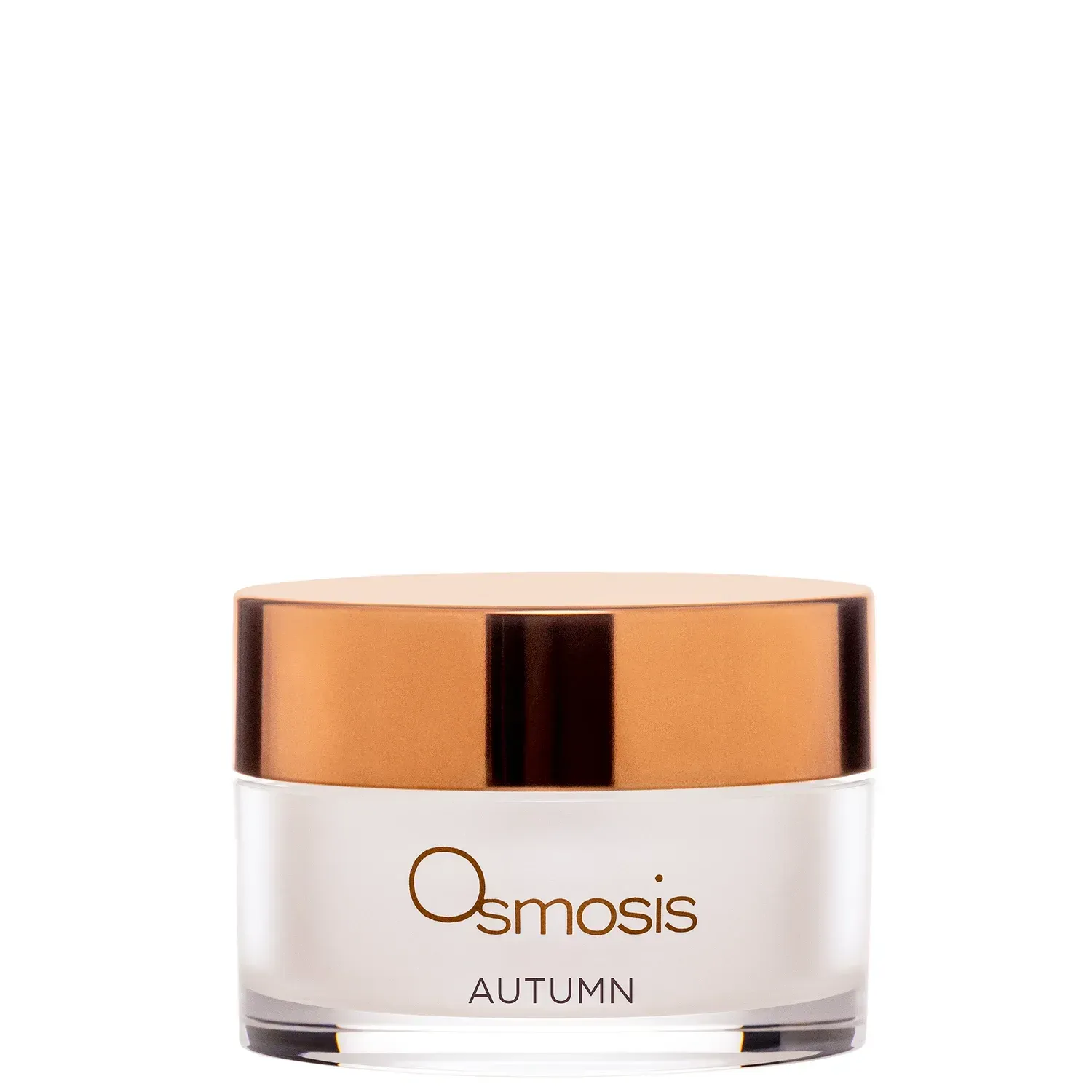 Autumn Enzyme Mask
