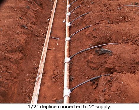 1/2 dripline connect to 2'' supply in dirt to the right
