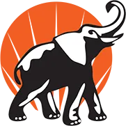 Elefante bianco e nero con proboscide sollevata, sfondo arancione con raggi di sole.