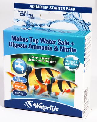 treats for tropical fish