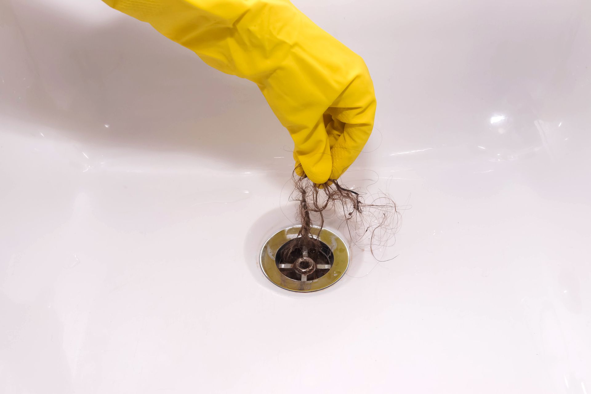 Gloved hand holding a clump of hair removed from a bathtub drain. Gloved hand holding a clump of hair removed from a bathtub drain.