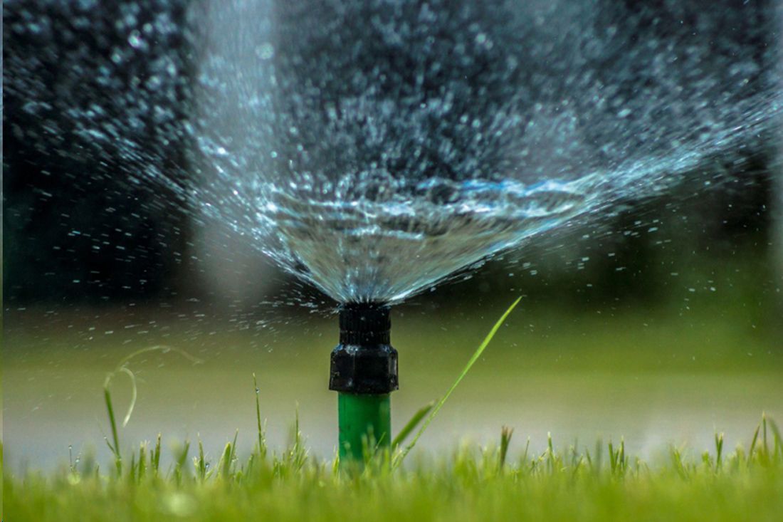 A close up of a sprinkler spraying water on a lush green lawn.