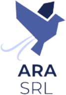  ARA SRL logo